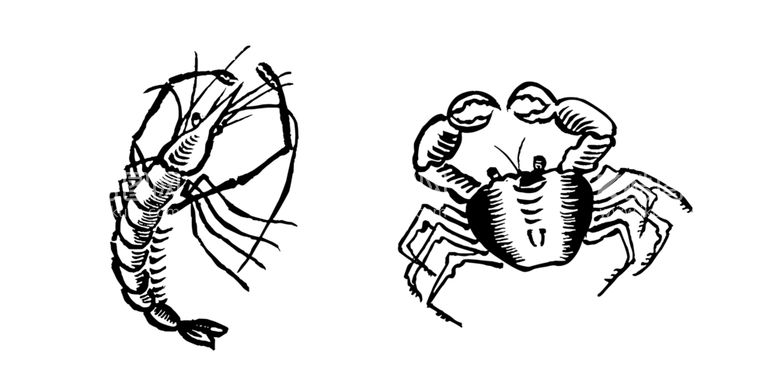 编号：65449711241247152754【酷图网】源文件下载-虾蟹