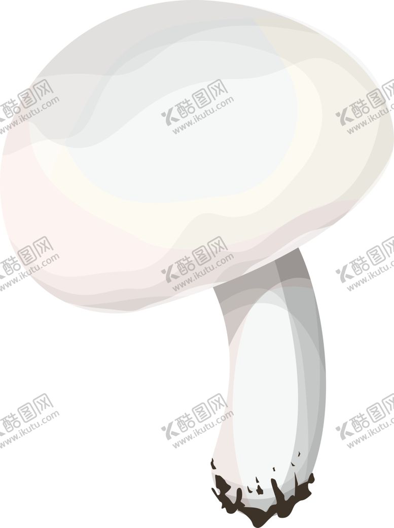 编号：69790402081942373100【酷图网】源文件下载-菌类植物