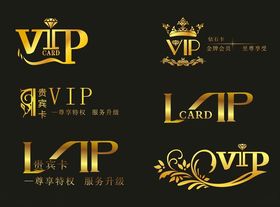 VIP金属字体