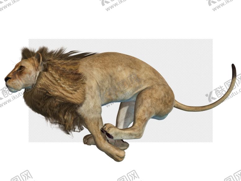 编号：87188104090631488339【酷图网】源文件下载-狮子