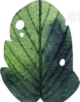 树叶