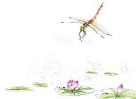 中国风山水荷花手绘画