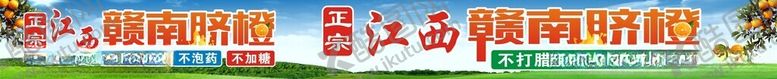 编号：19340301260430444205【酷图网】源文件下载-赣南脐橙