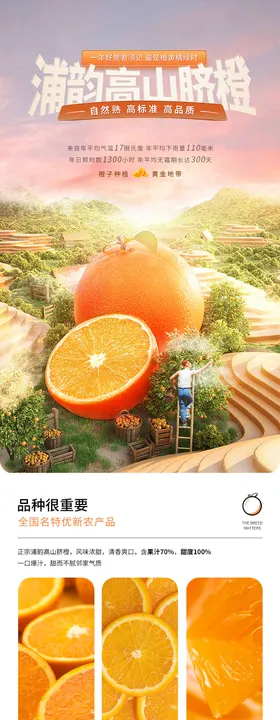 浦韵高山脐橙详情页