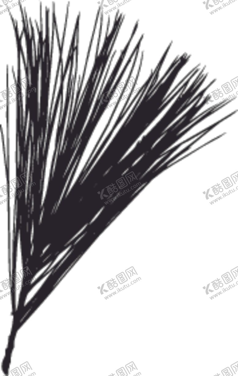 编号：79946607062312074358【酷图网】源文件下载-植物系列松树叶