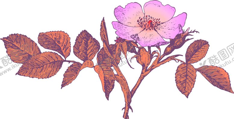 编号：55414607130957461118【酷图网】源文件下载-鲜花素材