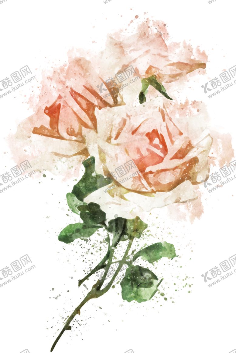 编号：88350609260235263902【酷图网】源文件下载-手绘花卉