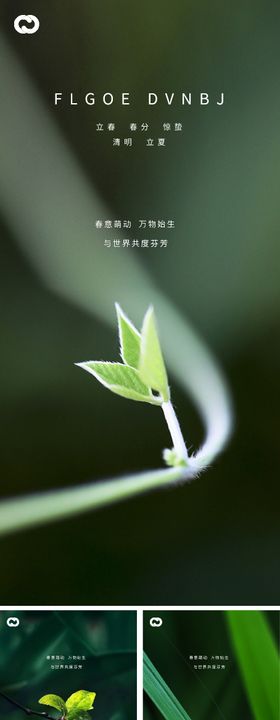 立春春分惊蛰清明立夏微信海报