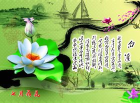 国风荷花图