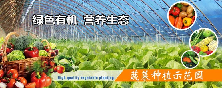 编号：19261606301830051016【酷图网】源文件下载-蔬菜种植基地海报