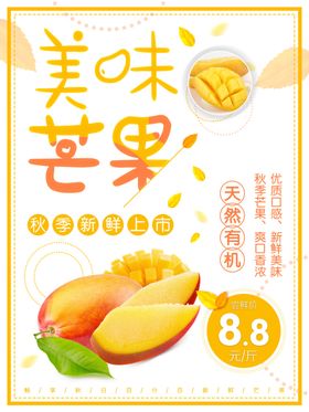 美味芒果干休闲必备食品