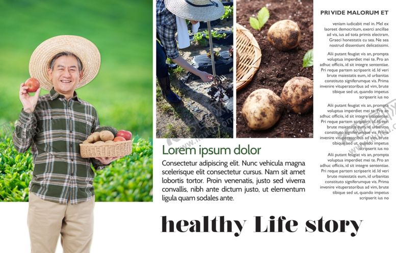 编号：25917710181348098165【酷图网】源文件下载-创意料理餐饮