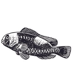 海洋生物鱼类图案