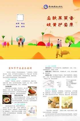 中医养生社区科普宣传页展示