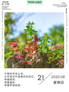 早安