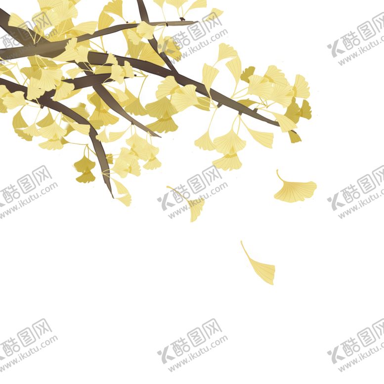 编号：60862810151611356530【酷图网】源文件下载-秋天银杏叶