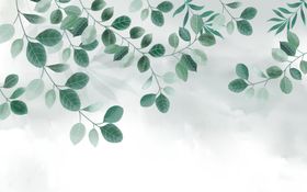 植物背景墙