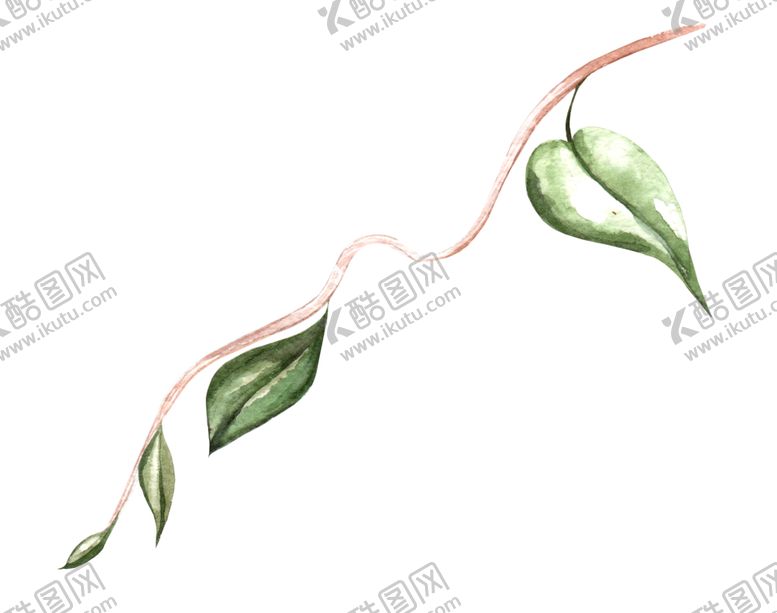 编号：12537309102113439039【酷图网】源文件下载-水彩绿叶绘画图案