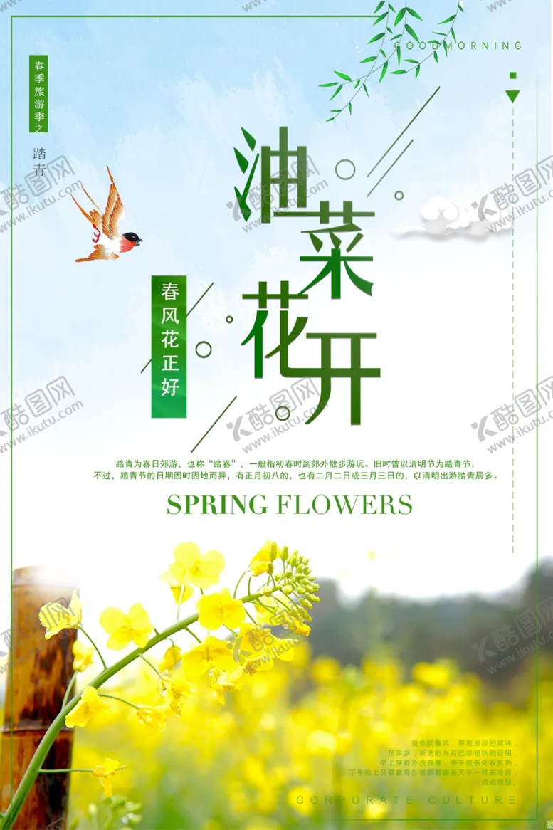 编号：94301906261732496848【酷图网】源文件下载-油菜花