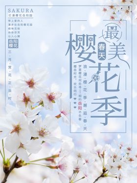 樱花海报