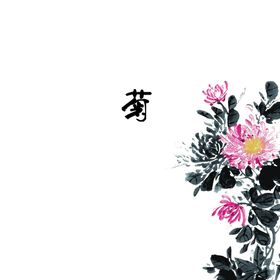 国画菊花