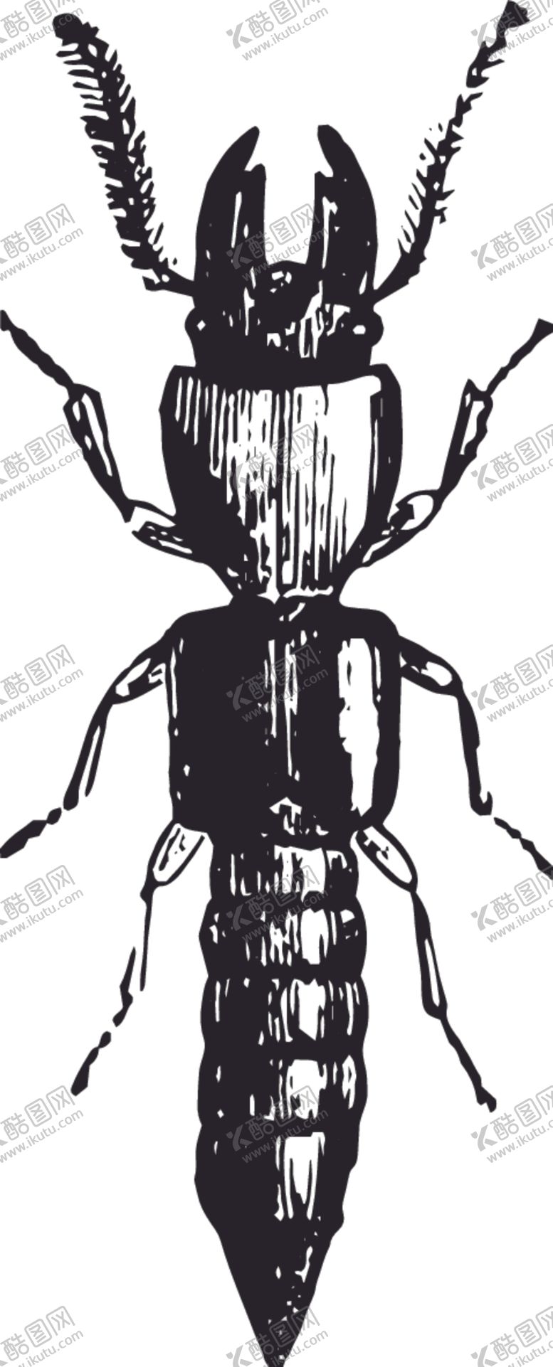 编号：54172609281153411094【酷图网】源文件下载-自然昆虫标本插画