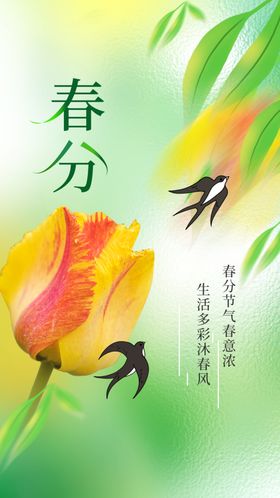 春分活动节气海报