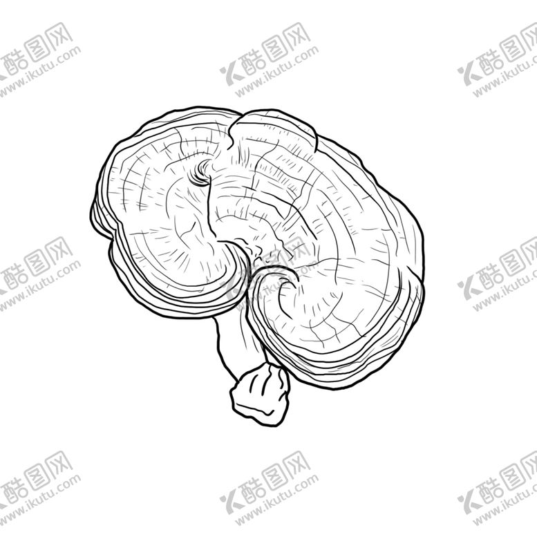 编号：87567909261435101262【酷图网】源文件下载-灵芝