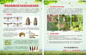 草地夜贪蛾宣传页