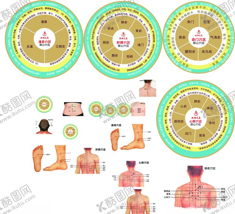 编号：45436604060949527305【酷图网】源文件下载-穴位图
