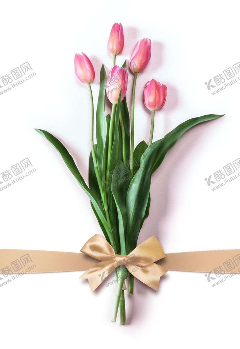 编号：70026101201321456041【酷图网】源文件下载-粉色郁金花束PNG免扣鲜花素材