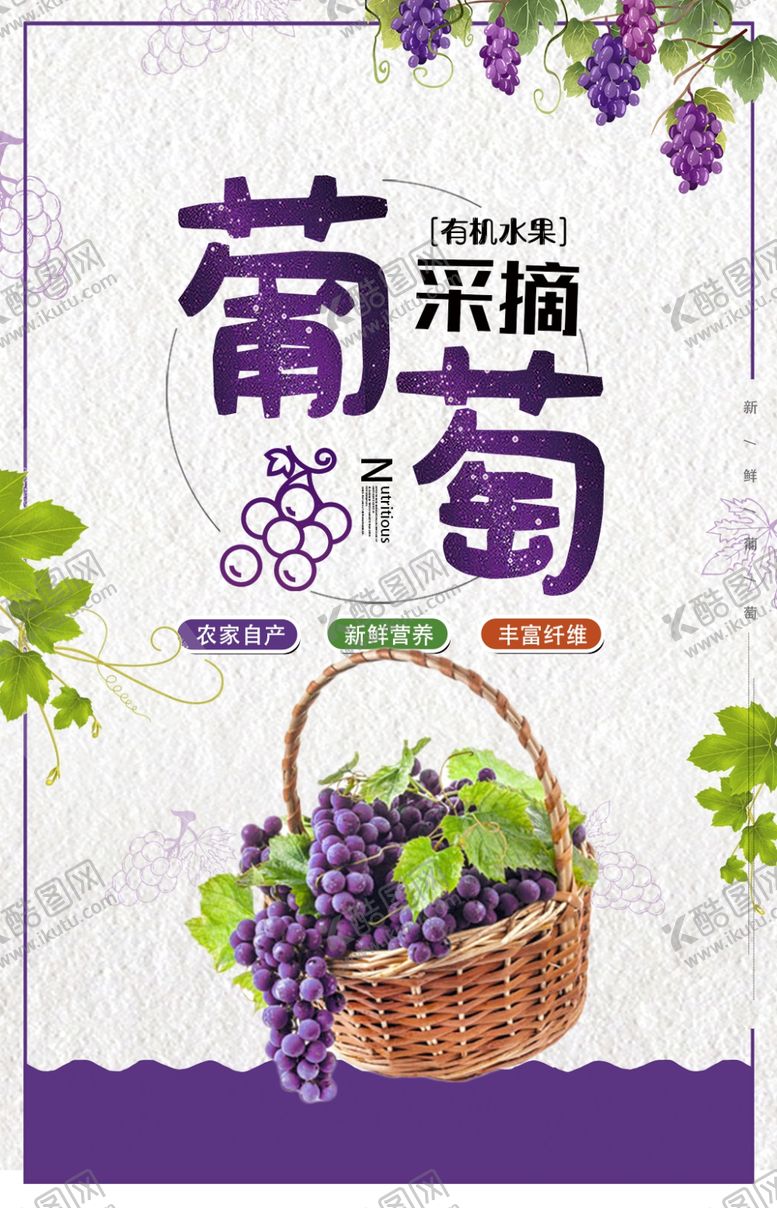 编号：97569909280928099998【酷图网】源文件下载-葡萄采摘