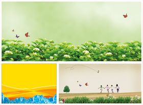 冰块茉莉花花卉背景