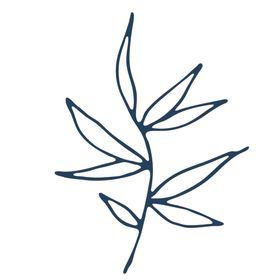 手绘海洋生物