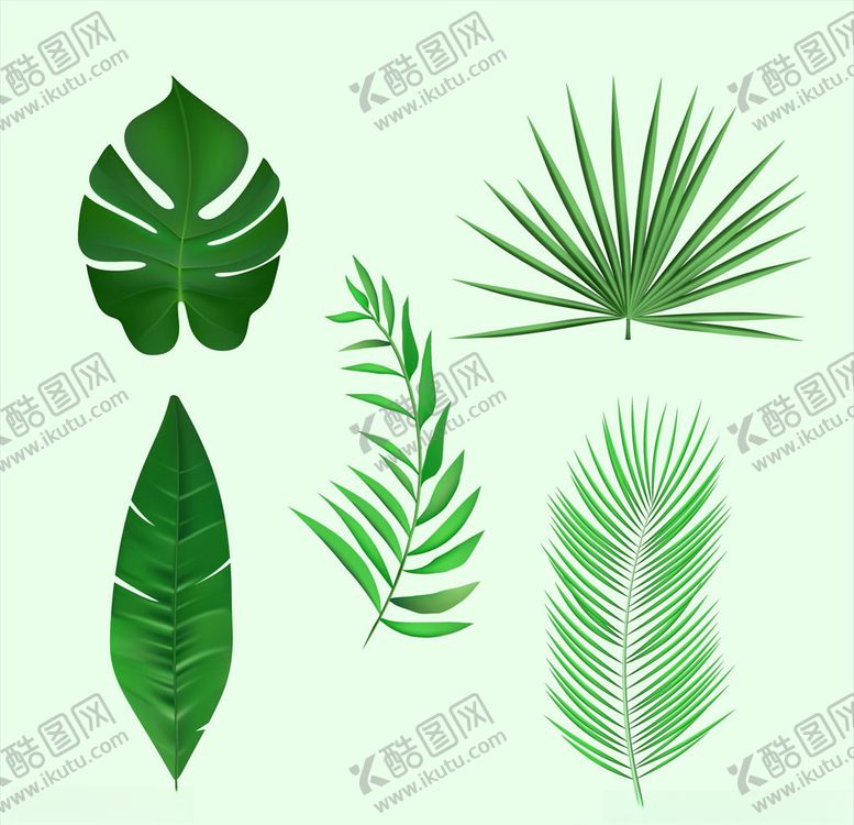 编号：75292710180343465598【酷图网】源文件下载-线条矢量手绘花草植物