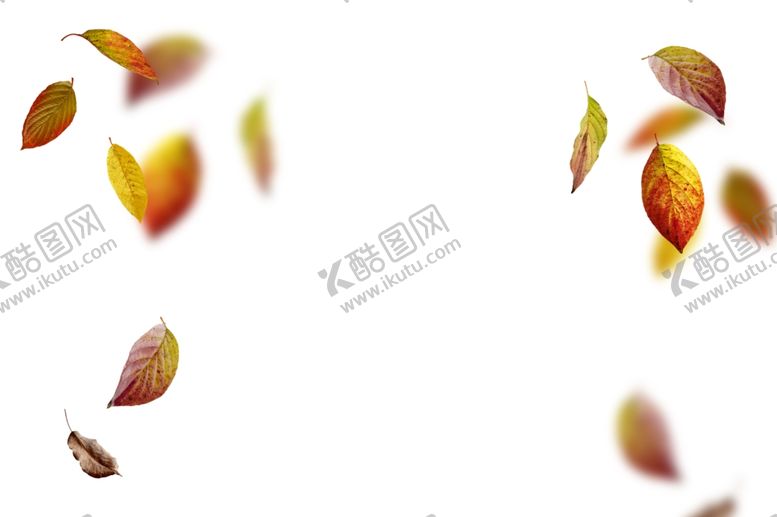 编号：92814809100137552289【酷图网】源文件下载-枫叶