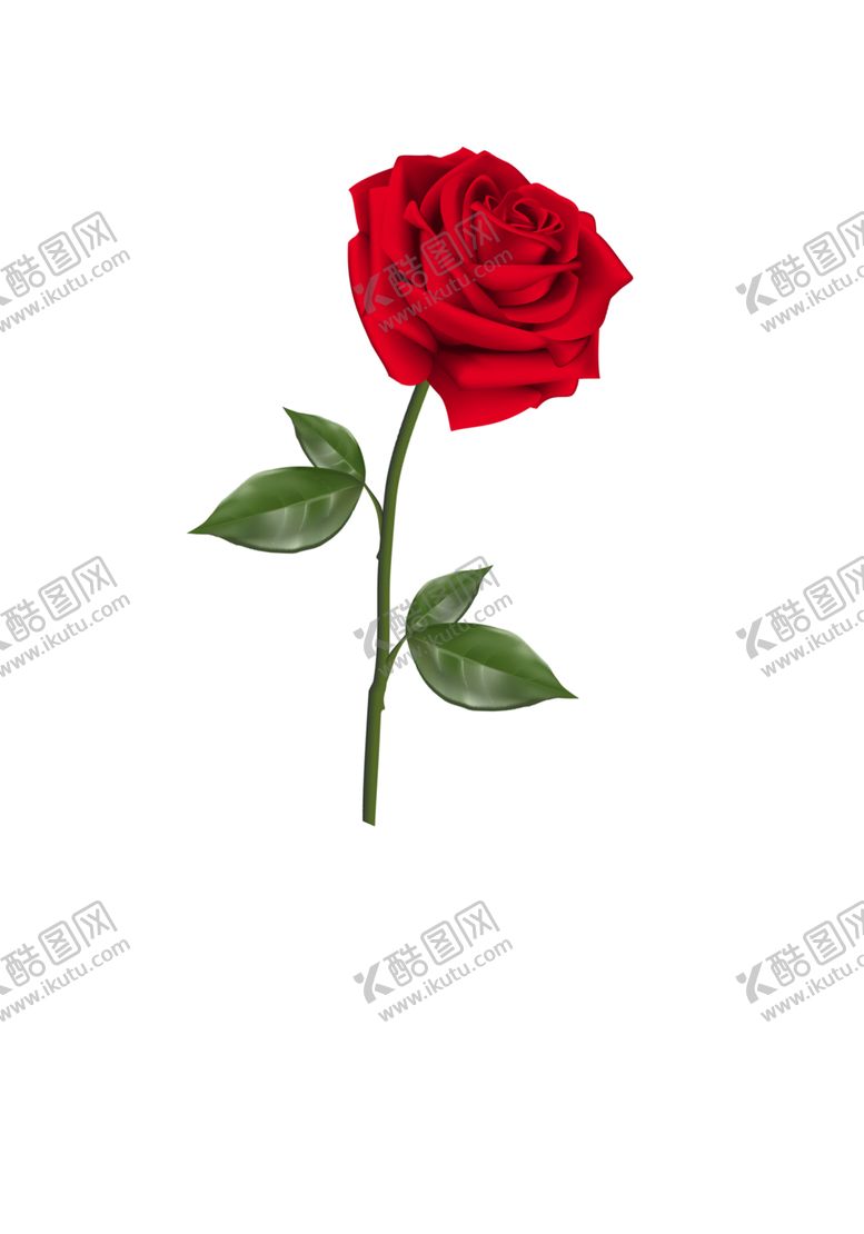 编号：78730504141108123261【酷图网】源文件下载-玫瑰