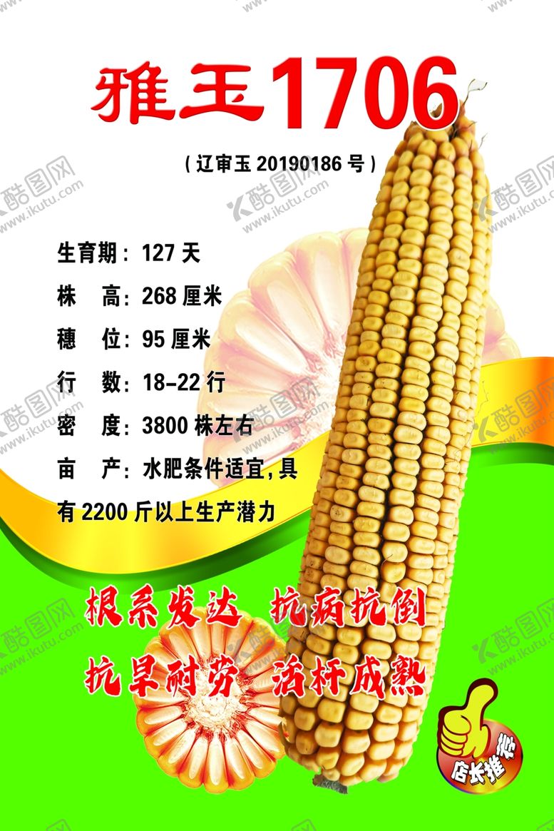 编号：81502701281508496116【酷图网】源文件下载-玉米种