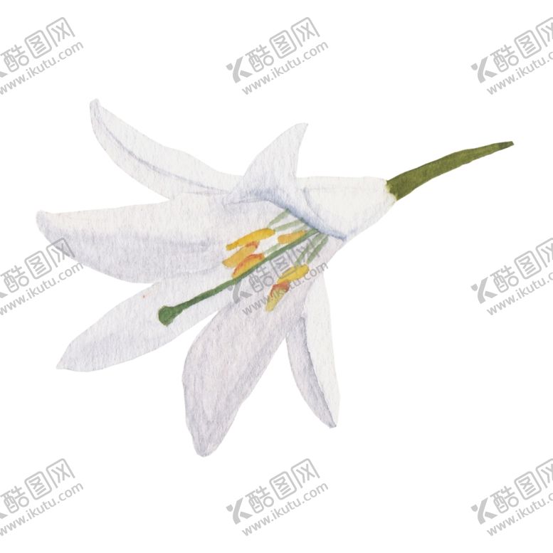 编号：80825509160307393953【酷图网】源文件下载-花朵