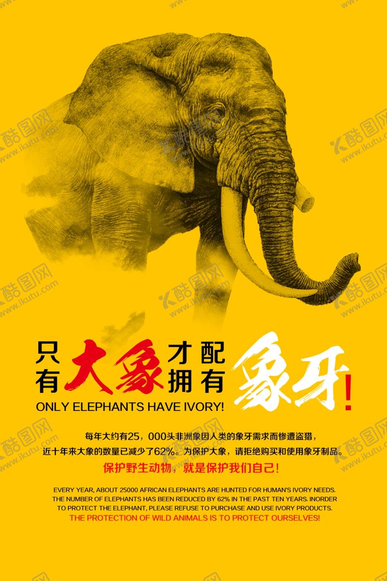 编号：59539509161938433642【酷图网】源文件下载-只有大象才配拥有象牙