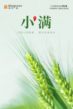 地产小满节气海报