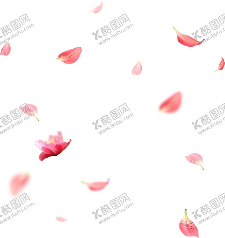 编号：27072004182204355843【酷图网】源文件下载-桃花花瓣
