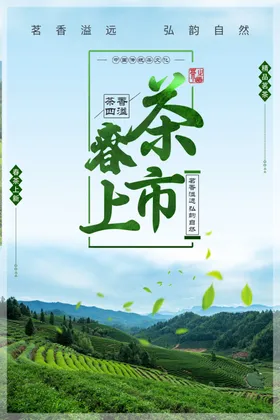 春茶上市