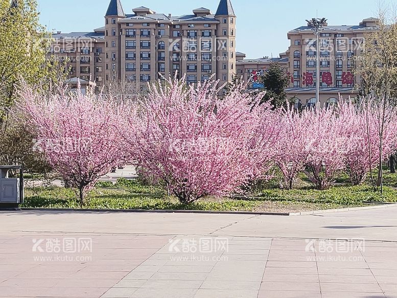 编号：74622310142047402671【酷图网】源文件下载-花风景