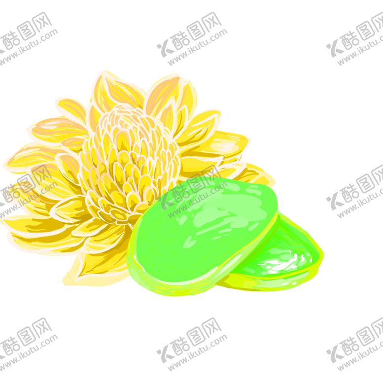 编号：48764109210149225138【酷图网】源文件下载-花素材