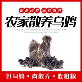 编号：59314609231458111347【酷图网】源文件下载-宝贝主图商品展示台小清新背景图