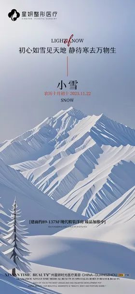 小雪节气海报美容整形景