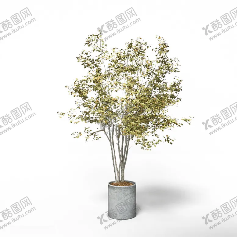 编号：28687602181122084974【酷图网】源文件下载-C4D模型绿色植物