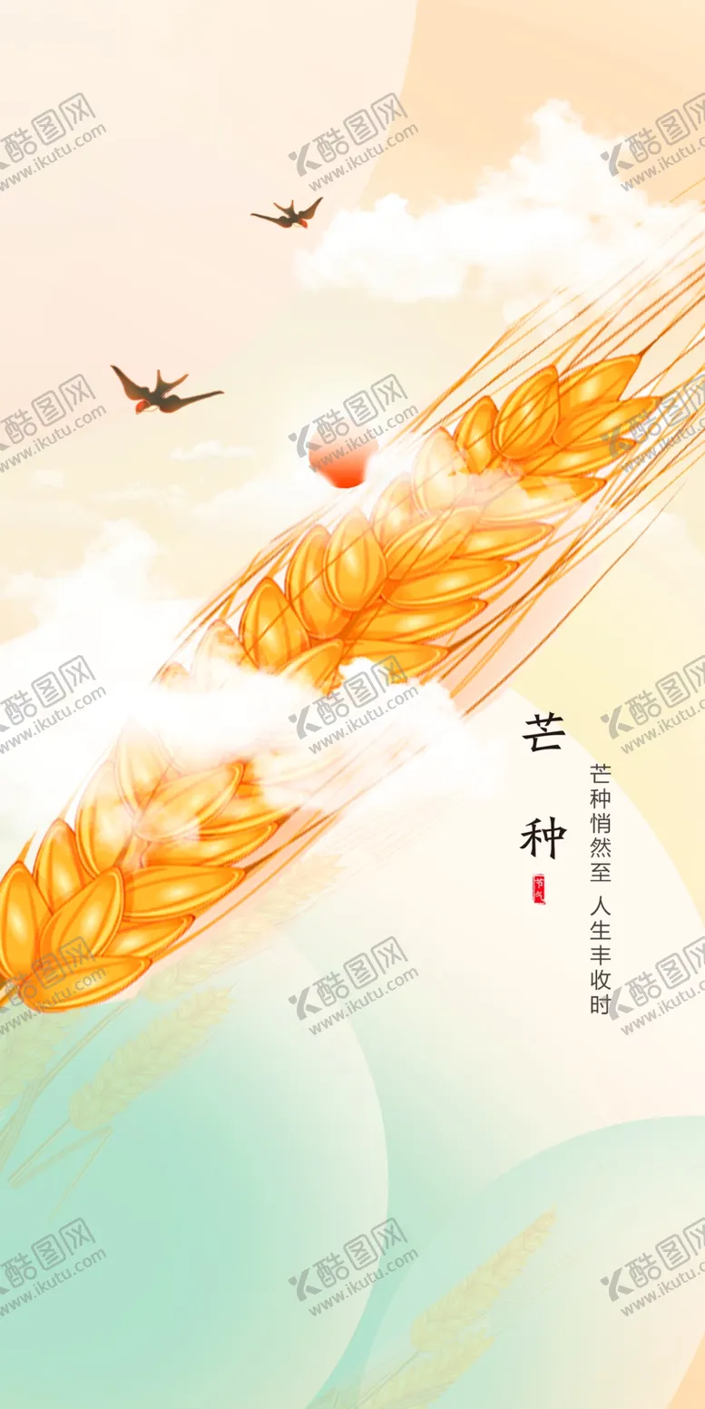编号：32241902251450385461【酷图网】源文件下载-芒种节气宣传海报展板