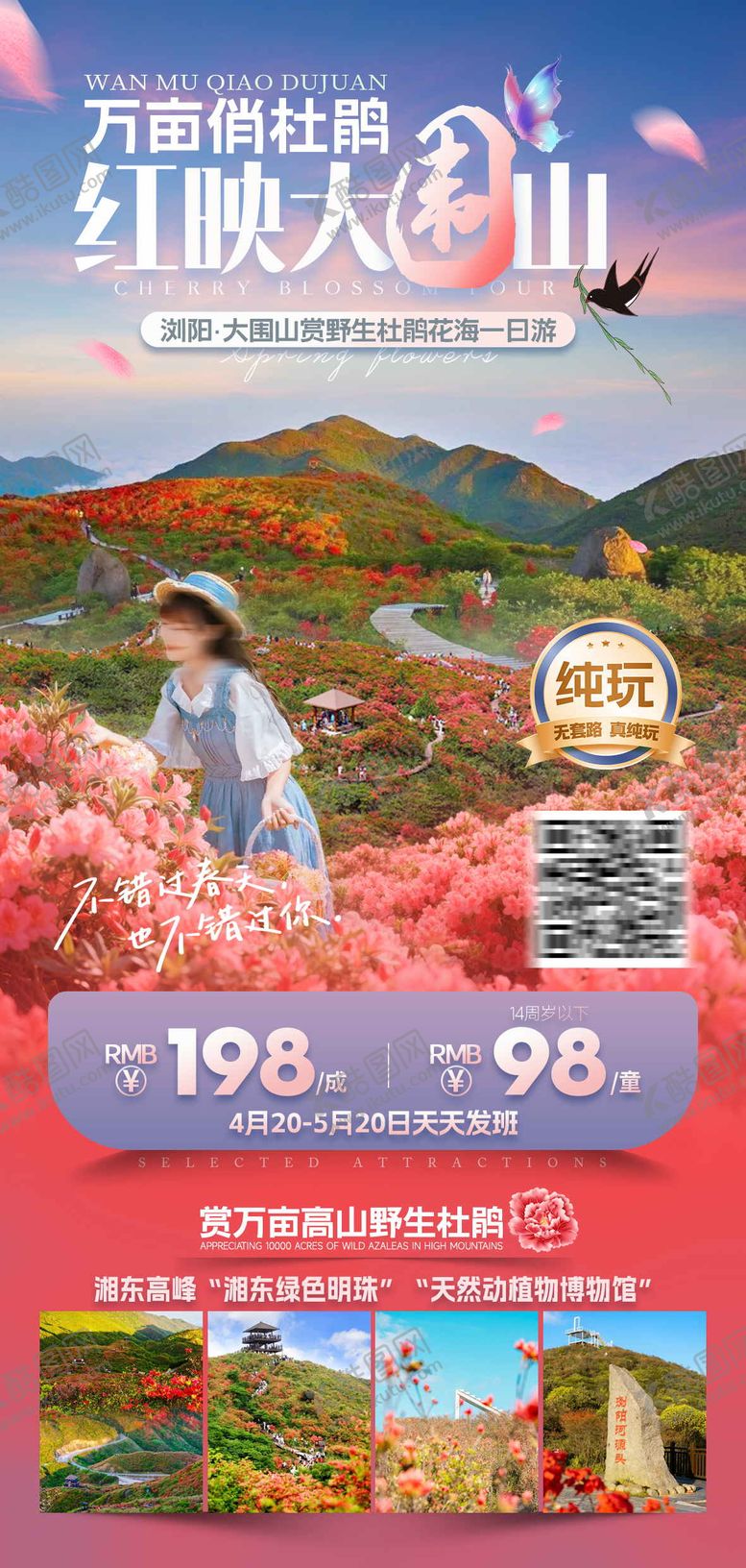 编号：41776309051146392260【酷图网】源文件下载-万亩俏杜鹃红映大围山